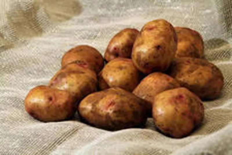 Продаём картошки оптом в Хабаровске с доставкой 3