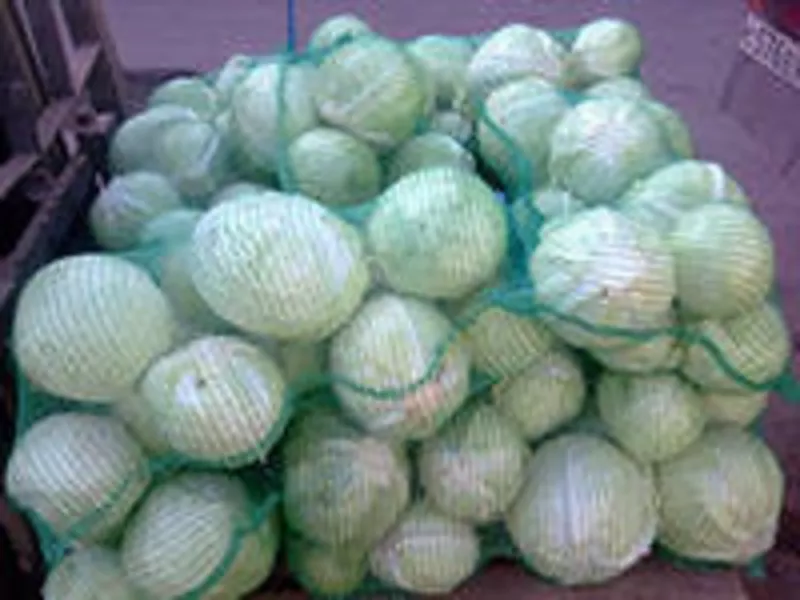 Продаём капусту оптом в Хабаровске с доставкой 2