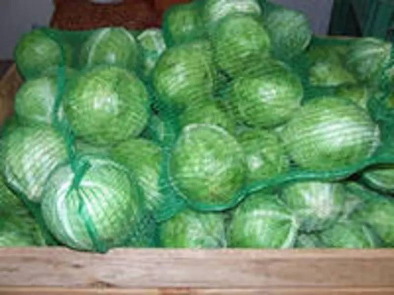 Продаём капусту оптом в Хабаровске с доставкой 8